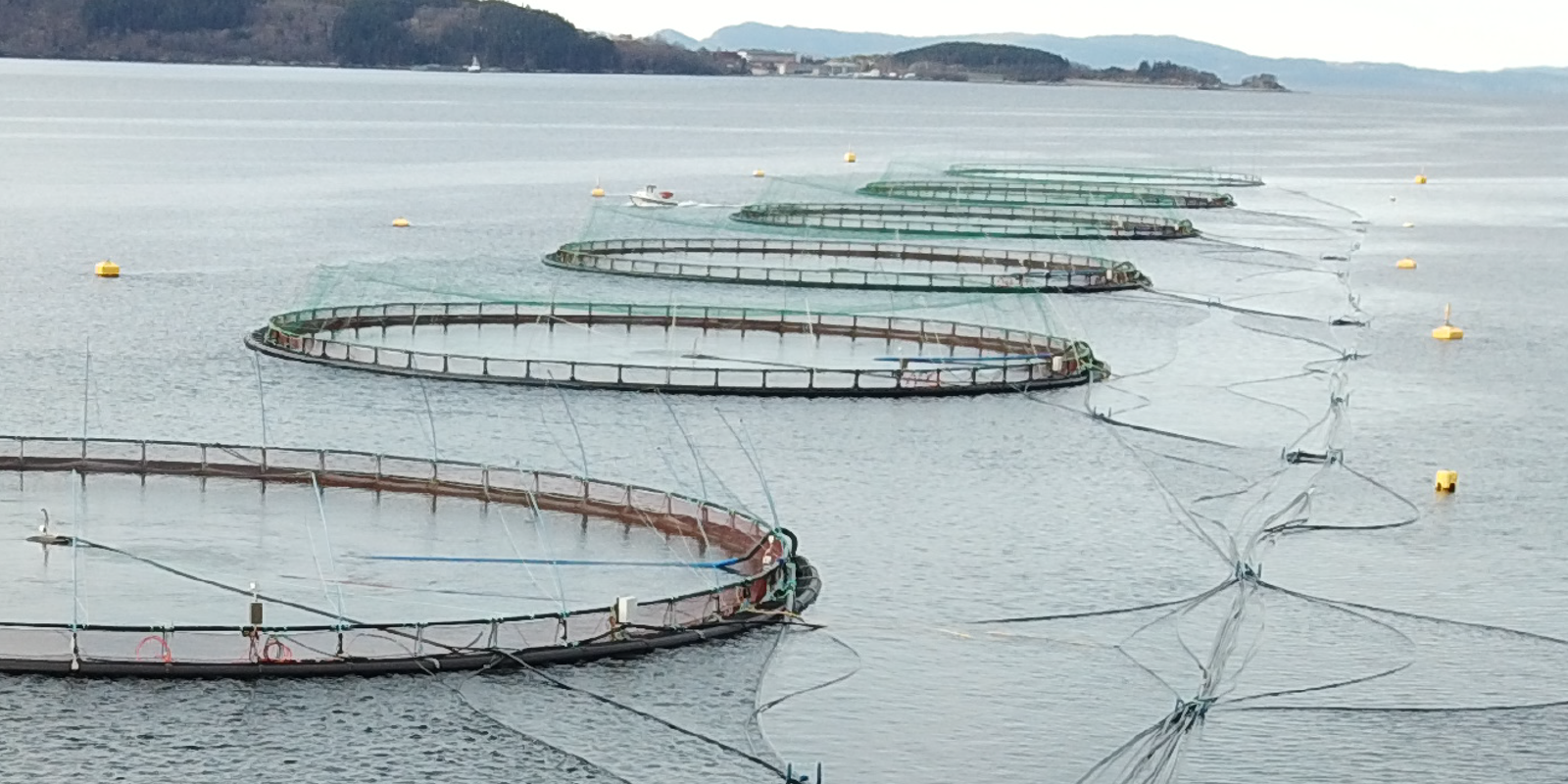 Framo LiftUP Back to Barge System | Framo